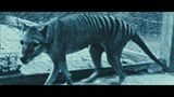 Trailer film - The Hunter