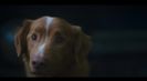 Trailer film Good Boy