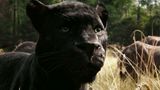 Trailer film - The Jungle Book