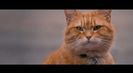 Trailer film A Street Cat Named Bob