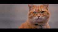 Trailer A Street Cat Named Bob