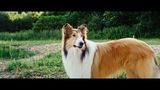 Trailer film - Lassie Come Home