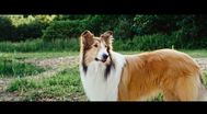 Trailer Lassie Come Home