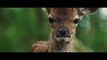 Trailer Bambi, L'histoire d'une vie dans les bois