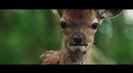 Trailer film Bambi, L'histoire d'une vie dans les bois