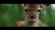 Trailer Bambi: A Tale of Life in the Woods
