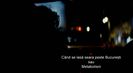 Trailer film Când se lasă seara peste București sau metabolism