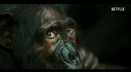 Trailer Chimp Empire