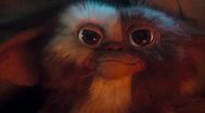 Trailer Gremlins