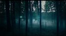Trailer film Into the Forest