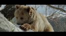 Trailer film Land of the Bears