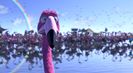 Trailer film Flamingo Pride