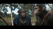 Film - Planeta maimuțelor: Noul regat