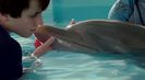 Trailer film Dolphin Tale 2