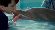 Trailer Dolphin Tale 2