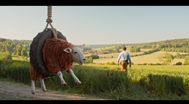 Trailer The Sheep Detectives
