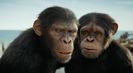 Trailer film Kingdom of the Planet of the Apes