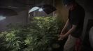 Trailer film The Union: The Business Behind Getting High