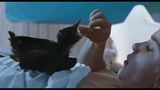 Trailer film - Kauwboy