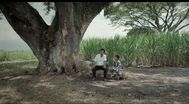 Trailer La tierra y la sombra