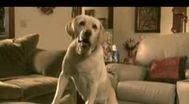 Trailer The Dog Who Saved Christmas