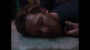 Film - The Thing with Feathers