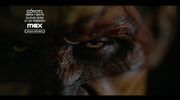 Film - Cóyotl: Héroe y Bestia