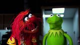 Trailer film - Muppets Most Wanted