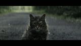 Trailer film - Pet Sematary