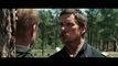 Trailer Hostiles