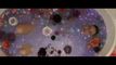 Trailer The Craft: Legacy