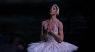 Trailer Swan Lake