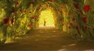 Trailer film The Little Prince