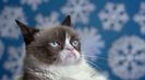 Trailer film Grumpy Cat's Worst Christmas Ever