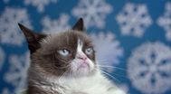 Trailer Grumpy Cat's Worst Christmas Ever