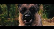 Trailer A Breed Apart