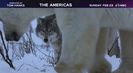 Trailer film The Americas