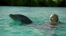 Trailer film Dolphin Island