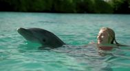 Trailer Dolphin Island