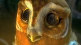 Trailer film - Legend of the Guardians: The Owls of Ga'Hoole