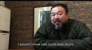 Trailer Ai Weiwei: Never Sorry