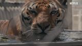 Trailer film - Tiger King: Murder, Mayhem and Madness