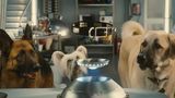 Trailer film - Cats & Dogs: The Revenge of Kitty Galore