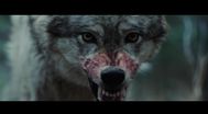 Trailer Out Come the Wolves