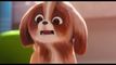 Trailer The Secret Life of Pets 2