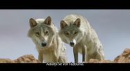 Trailer Le dernier loup