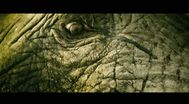 Trailer Elephant Song