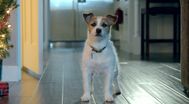 Trailer Up on the Wooftop