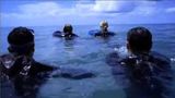 Trailer film - The Reef