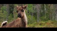 Trailer Aïlo: Une odyssée en Laponie